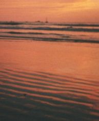 Playa Tamarindo Sunset